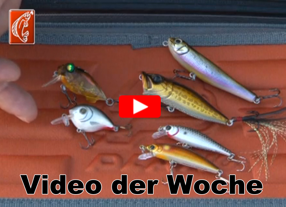 Profi Blinker Go Up Wobbler 11 Cm – Weißfisch-Köder, Läuft Flach Bis 0,4m Tiefe