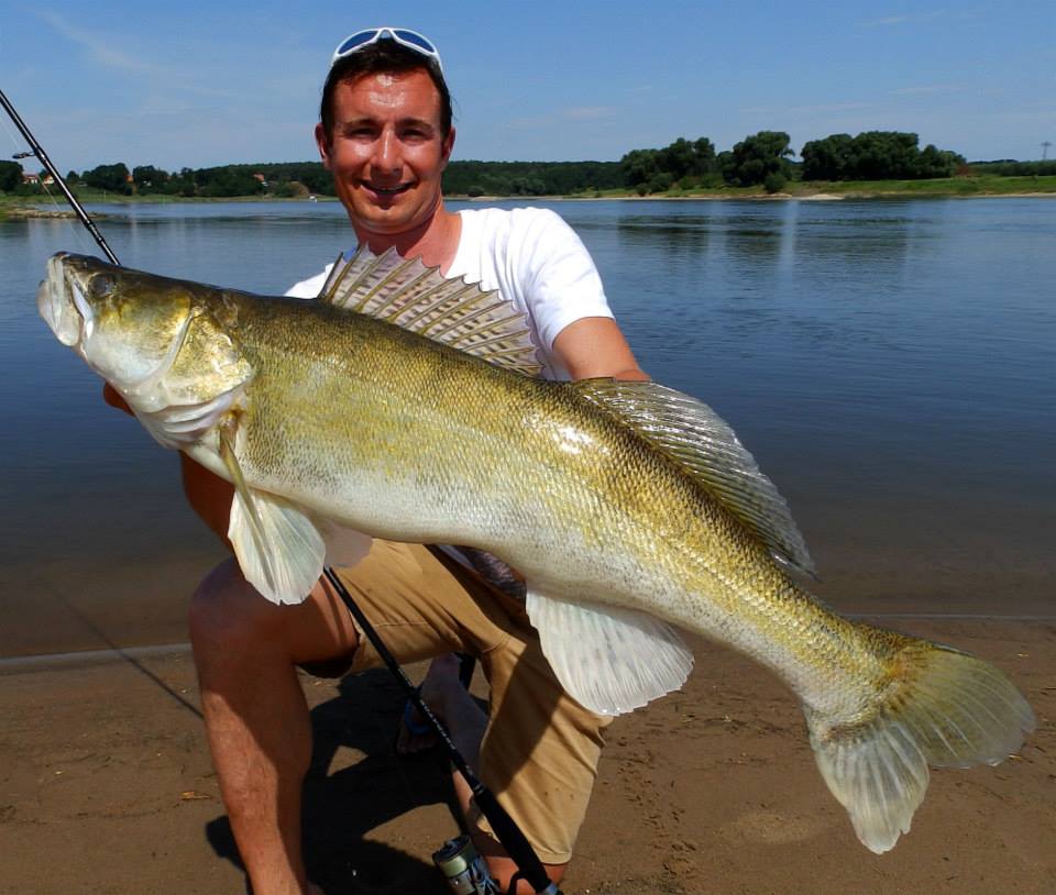 Zanderexperte Veit Wilde konnte beim Angeln in der Elbe bei Magdeburg schon einige kapitale Fische überlisten. Diesen 92er Stachelritter fing er im Jahr 2013.