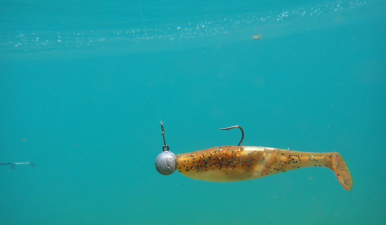 Ist ein Fluorocarbon-Vorfach unter Wasser unsichtbar? Der Test zeigt, dass das Material nicht ganz verschwindet. Foto: Blinker