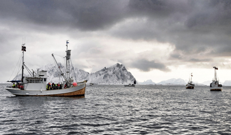 Die Inselgruppe der Lofoten liegt nördlich des Polarkreises und besteht aus 80 Inseln. Sie werden von den nördlichen Ausläufern des Golfstroms gestreift, die beim Angeln vor den Lofoten für einen großen Fischreichtum sorgen.