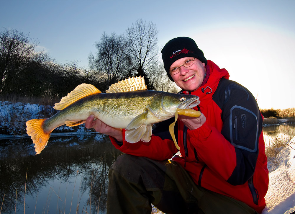 Auch dicke Zander ziehen sich gerne im Winter in die flachen Gewässerbereiche im Fluss zurück. Foto: W. Krause