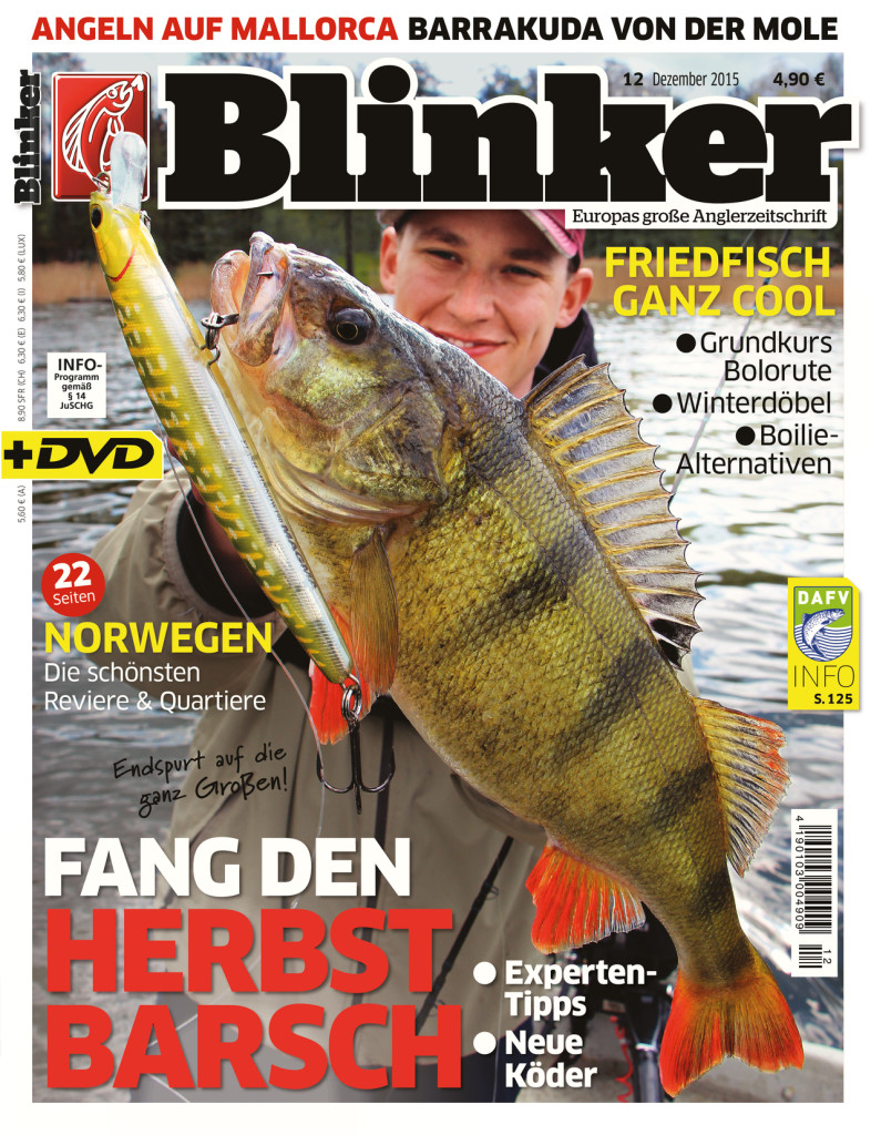 Blinker Ausgabe 12/2015