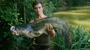 Überraschung beim Forellenangeln: Statt einer Forelle nahm dieser Wels den Köder von Angler Kevin Sommer. © B. Fuchs