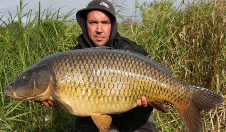 Diesen 98 Zentimeter großen Karpfen konnte Sebastian im September in einem Kiessee mit auffälligen Boilies fangen. © Sebastian Blischke