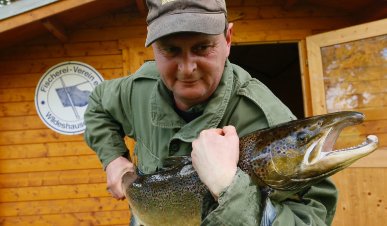 88 Zentimeter und über 15 Pfund schwer. Ralf Siemer mit dem kapitalen Lachsmännchen, das gut an dem zu einem Laichhaken geformten Unterkiefer zu erkennen ist. © www.fischereivereinwildeshausen.de/Thomas Kaise