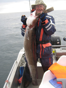 Diesen tollen Leng von 36 Pfund fing Heribert Hock auf dem Atlantik vor der Insel Vensoy. © H. Hock