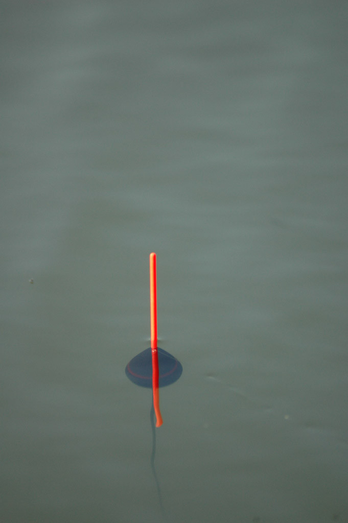 Damit eine eiförmige Strömungspose jeden noch zu feinen Zupfer anzeigt, sollte man sie so bebleien, dass nur die Antenne aus dem Wasser schaut. Dann steht die Pose stabil im Wasser und reagiert dennoch sehr sensibel. Bei einem Biss wird die Pose seitlich weggezogen oder angehoben. Dann muss der Anhieb kommen.