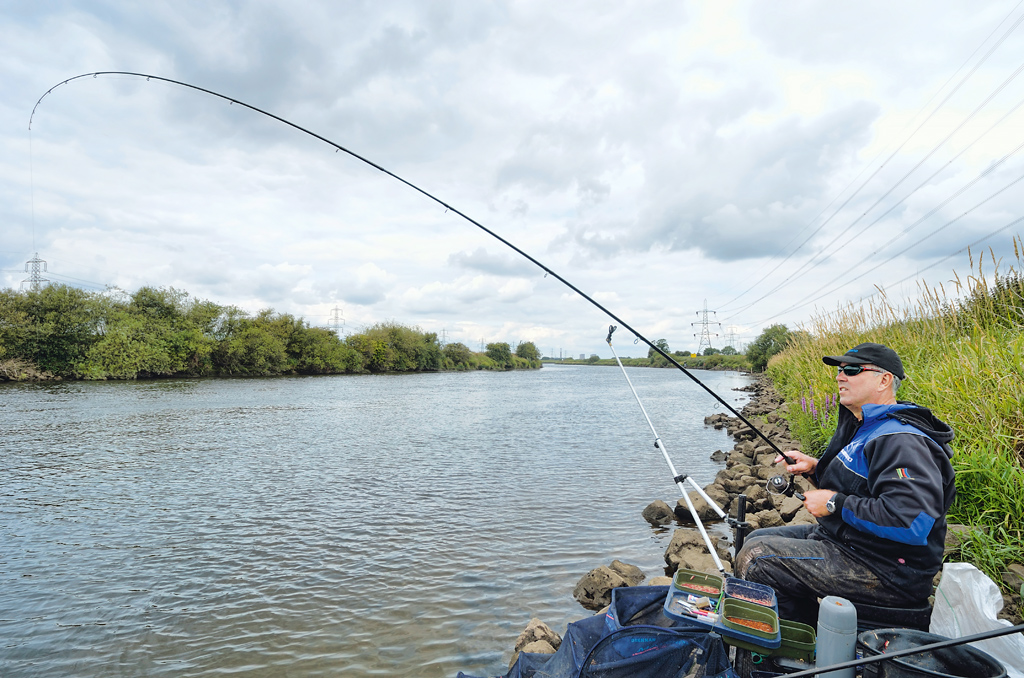Feederangeln im Fluss Tipps vom Weltmeister BLINKER