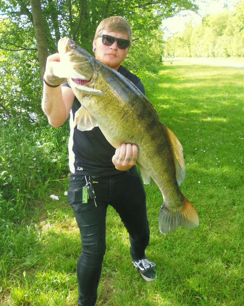 Marco Schneider stemmt seinen 92er Zander aus dem Main. Foto: M. Schneider