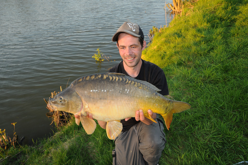 Dank der Hilfe eines Anglers, konnte ich diesen Spiegelkarpfen am Ende in den Händen halten. An der leichten Matchrute eine spannende Herausforderung.