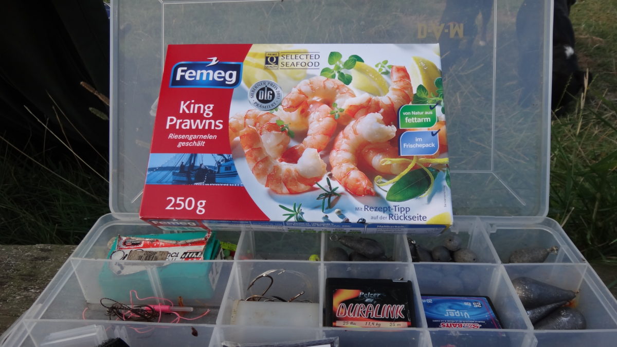 Fine Dining für Aale: an schwierigen Gewässern kann sich der Versuch mit einer Garnele am Haken lohnen.