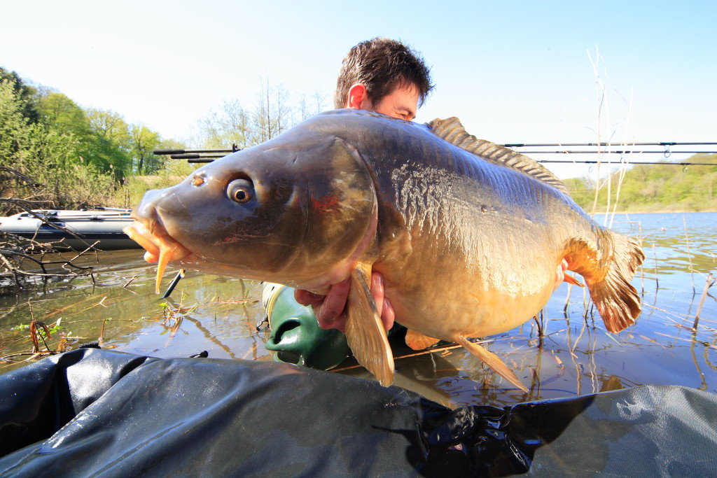 Welche Boilies Sind Die Besten Für Karpfen Die 4 besten Karpfenköder: Boilie, Tigernuss, Mais, Kartoffel - BLINKER