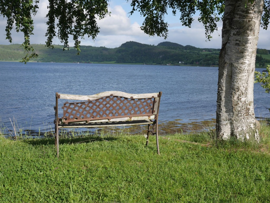 Hier gibt es viele und zum Teil auch recht idyllische Angelplätze. Foto: J. Stollenwerk