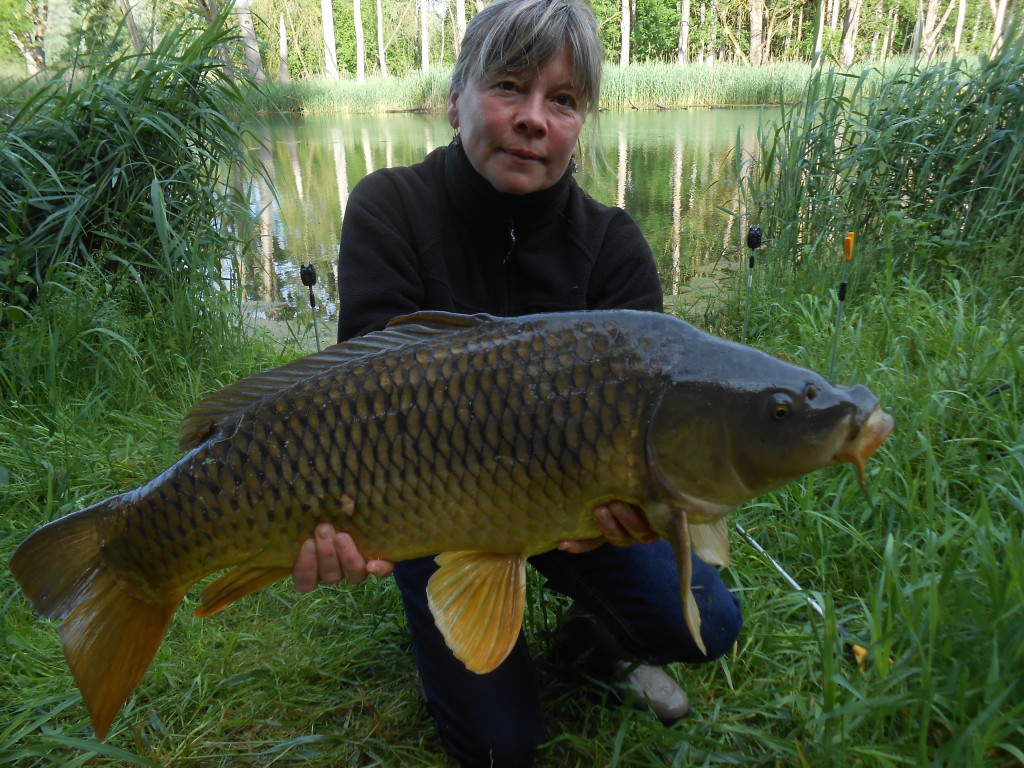 Mit Mais konnte Barbara diesen 78 Zentimeter langen in ihrem Vereinsteich fangen. Foto: privat