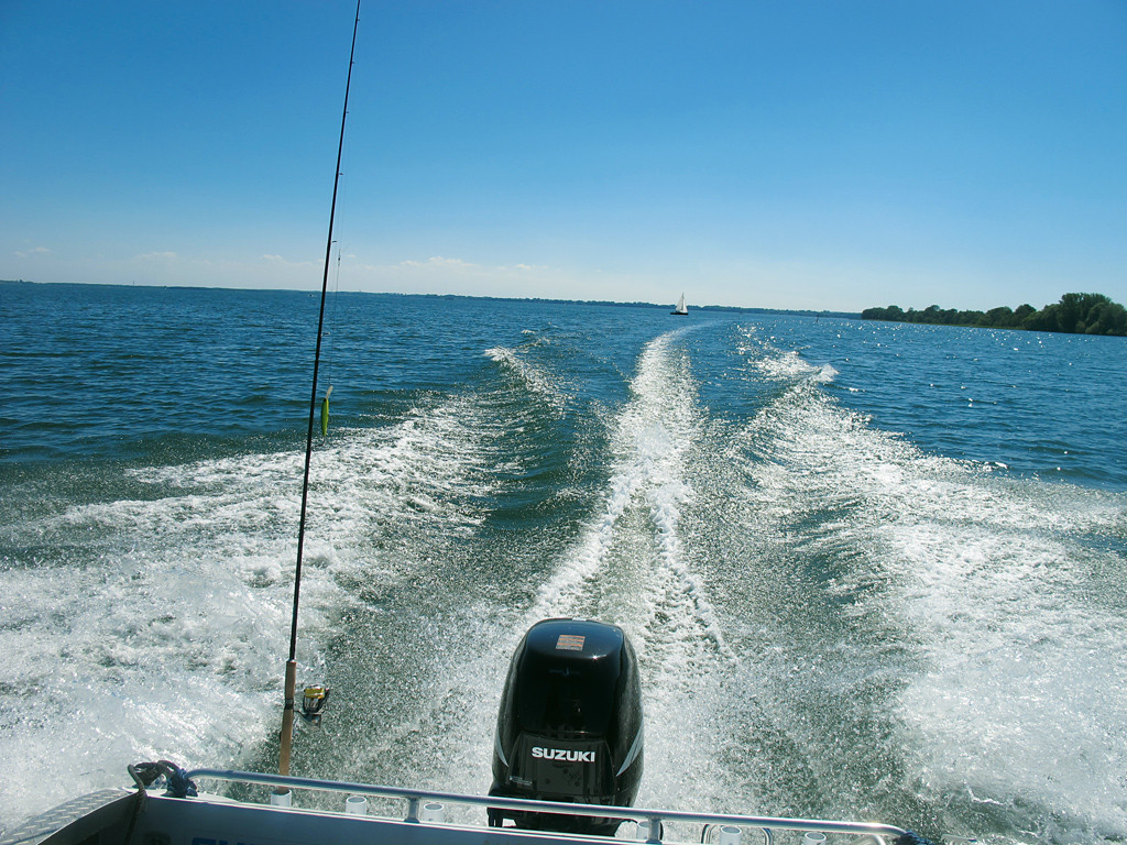 Angeln im Schweriner See