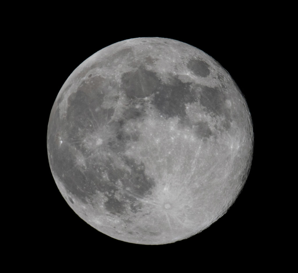 Der Mond hat großen Einfluss aufs Beißverhalten des Heilbuttes.