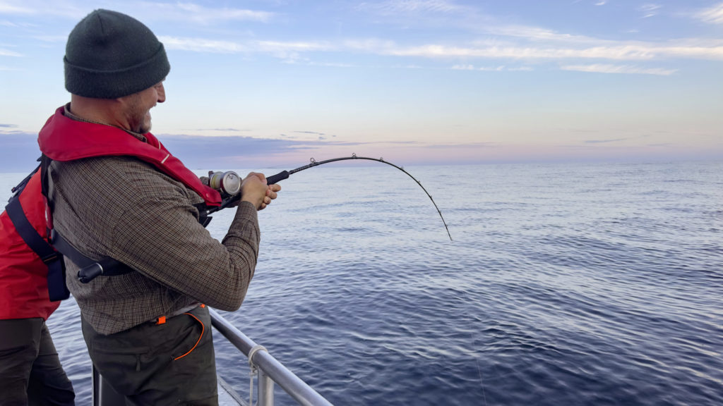Alles richtig gemacht: Nach dem Biss hat dieser Angler lange genug gewartet, so dass der Heilbutt Zeit bekam, den Köder zu nehmen.