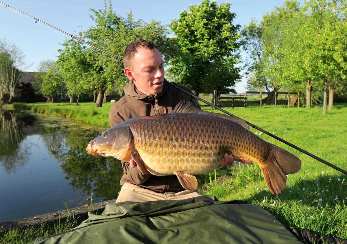 Oft unterschätzt: Das Karpfenangeln in den kleinen Poldern verspricht großes Fangvergnügen, wie hier dieser dicke Schuppenkarpfen zeigt. Foto: In den kleinen Poldern verstecken sich genügend Großfische. Besonders Hechte, Barsche und Karpfen sind hier vorrangige Zielfische. Foto: Robert de Wilt