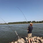 Angeln im Rhein Buhne