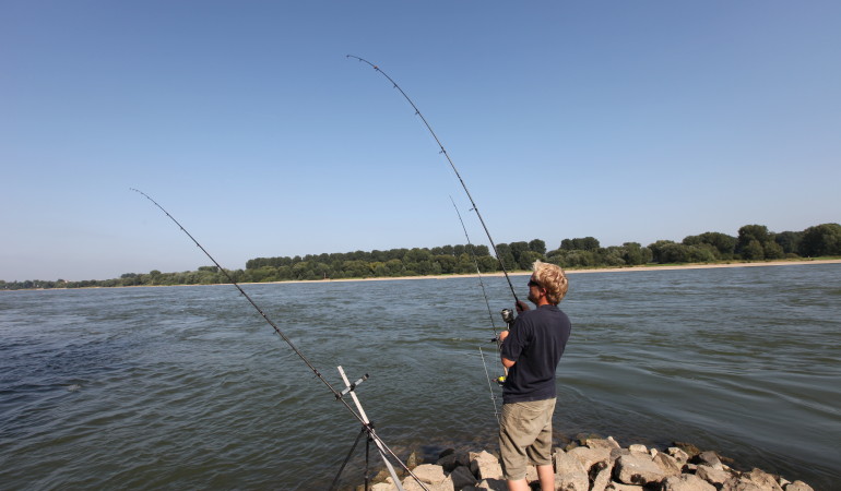Angeln im Rhein Buhne