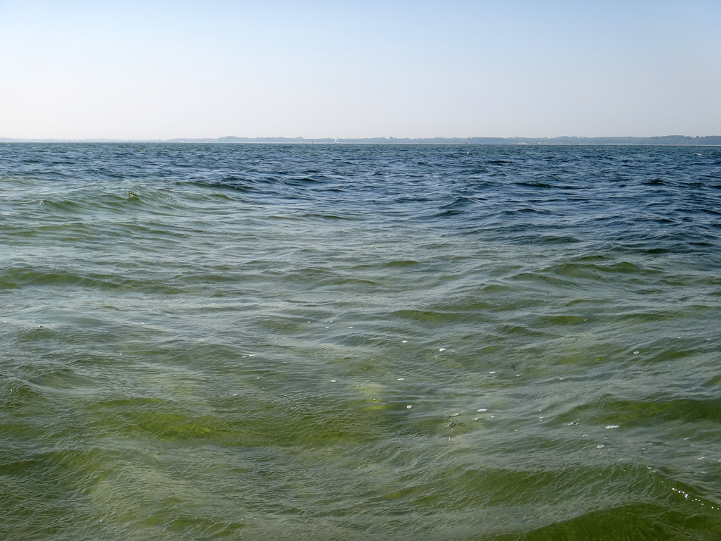 Hier gut zu sehen, die dunklen Strukturen, die auf tieferes Wasser hindeuten und somit potenzielle Fangplätze sind.