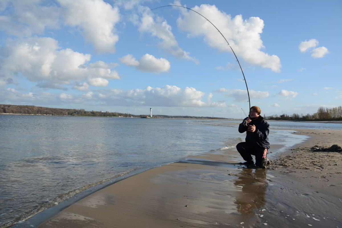 Angeln in der Ostsee - Versuch es mal auf die leichte Tour!