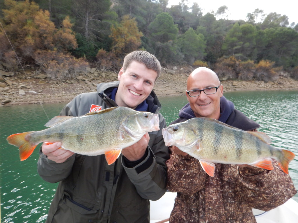 Gregor Bradler (links) und Ebro-Guide Bruno Bernstein mit einem kapitalen Barsch-Doppel. Foto: Gregor Bradler