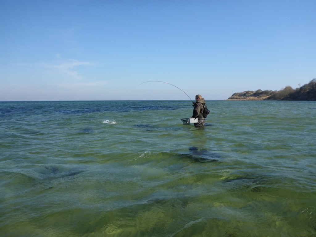 Drill auf einer Sandbank in Süd-Dänemark