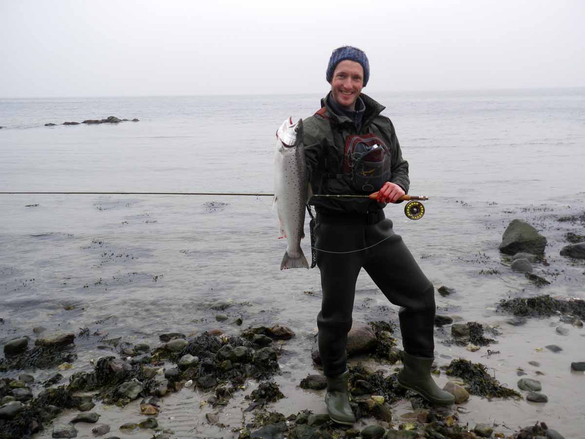 Die Meerforelle ist ein beliebter Zielfisch bim Angeln in der Ostsee.