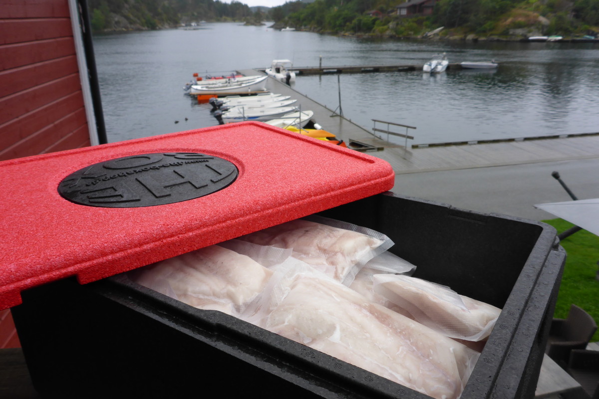 Gefrorener Fisch bleibt in der "The Box" problemlos zwei Tage lang tiefgefrorenen. Tipp: Nicht genutzter Stauraum mit Zeitungspapier auffüllen. Dadurch wird die Kälte noch besser gespeichert.