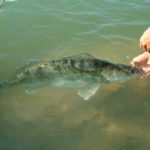 Beim Thema Catch and Release gerät man schnell in hitzige Diskussionen. So ziemlich jeder – auch Nichtangler – hat seine ganz eigene Meinung dazu. Foto: O. Portrat
