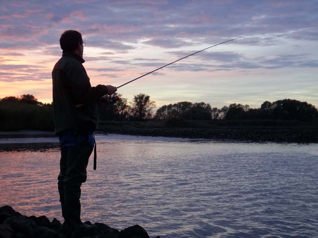 Beim Zanderangeln im Herbst stehen für uns Angler mehr Gewässerbereiche durch die Veränderung der Sprungschicht zur Verfügung. 