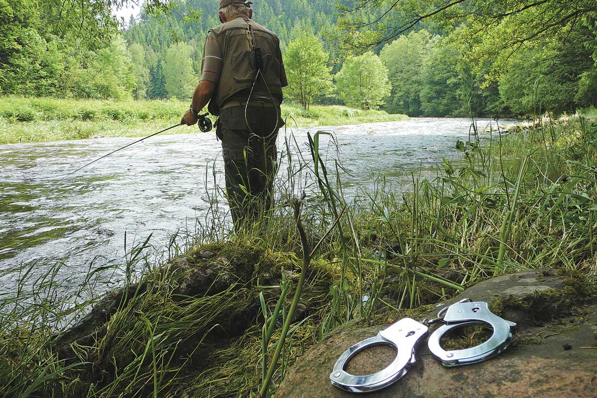 Vom Ufer ins Gefängnis? Wer sich nicht an das Tierschutzgesetz hält, kann sogar zu einer Freiheitsstrafe verurteilt werden. Foto: E. Hartwich