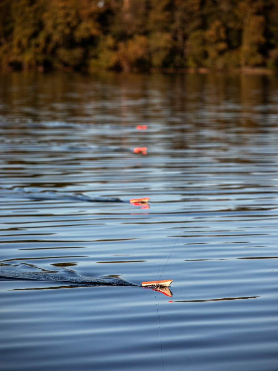 Schleppfischen mit Sideplanern