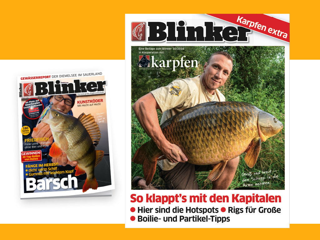 Erhalten Sie gratis die Karpfen-Beilage im BLINKER.