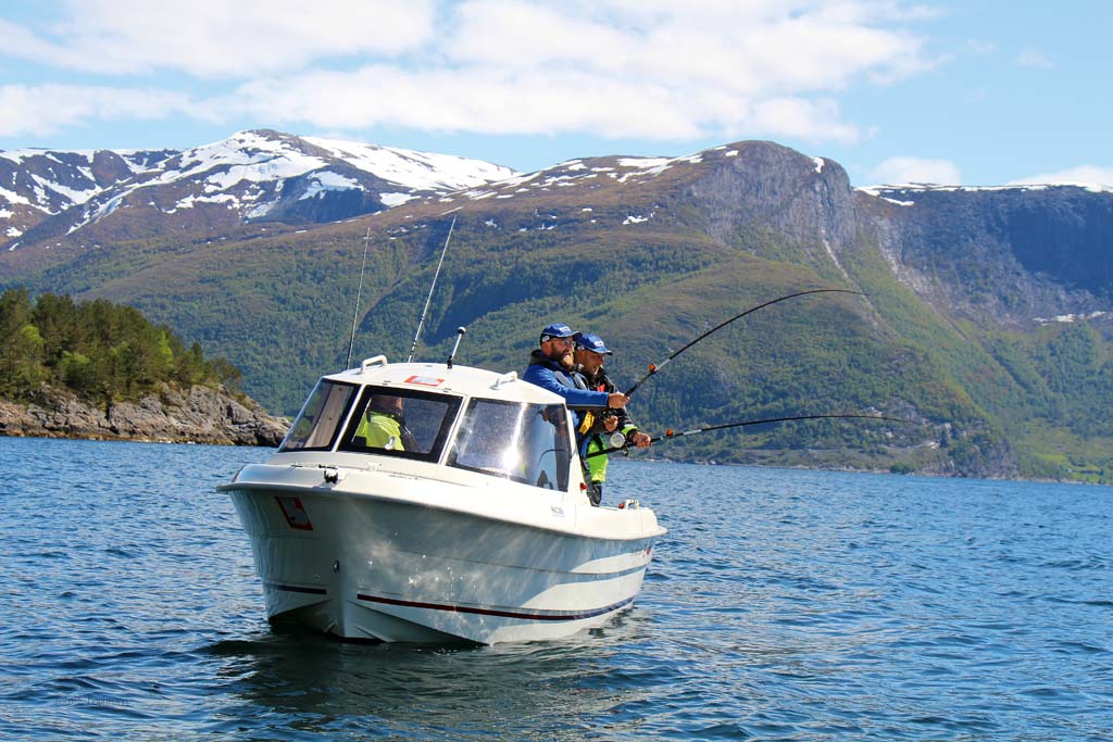 Angelurlaub in Norwegen Reviere von Nord bis Süd BLINKER