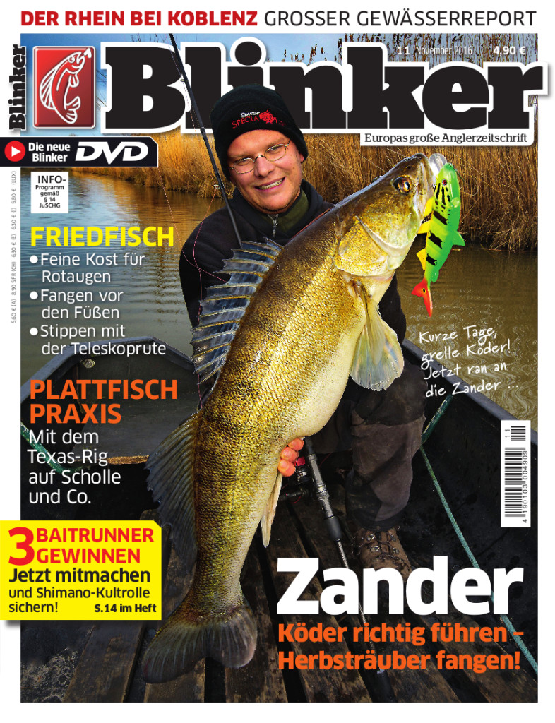 Blinker 11 2016 Titel November