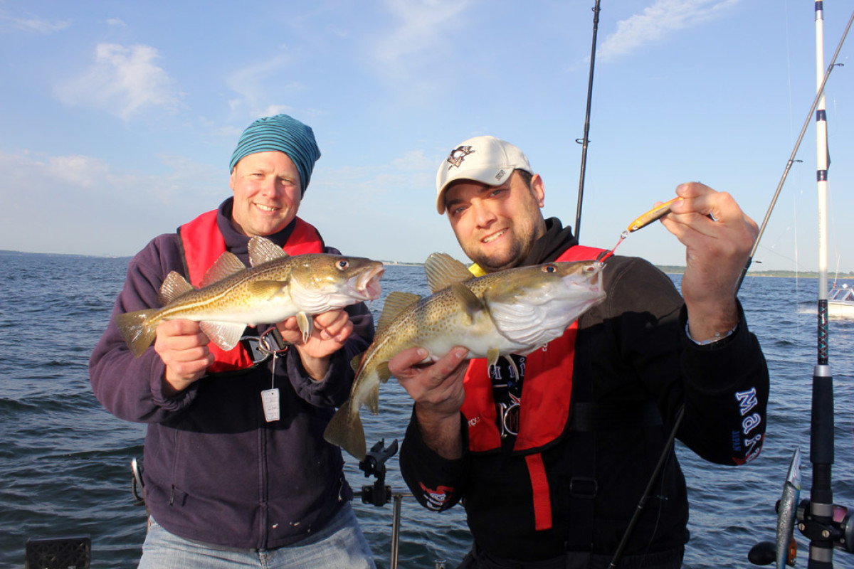 Neue Dorsch-Fangquoten 2017 für die Ostsee betreffen uns auch Angler.