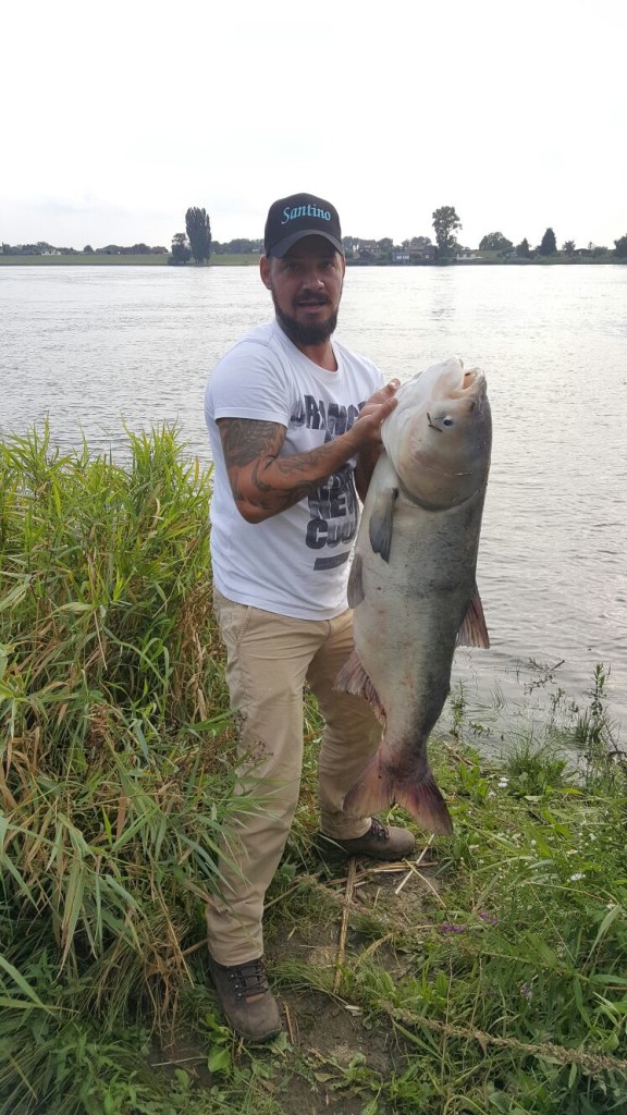 Silberkarpfen gefangen - Santinos Fisch des Lebens