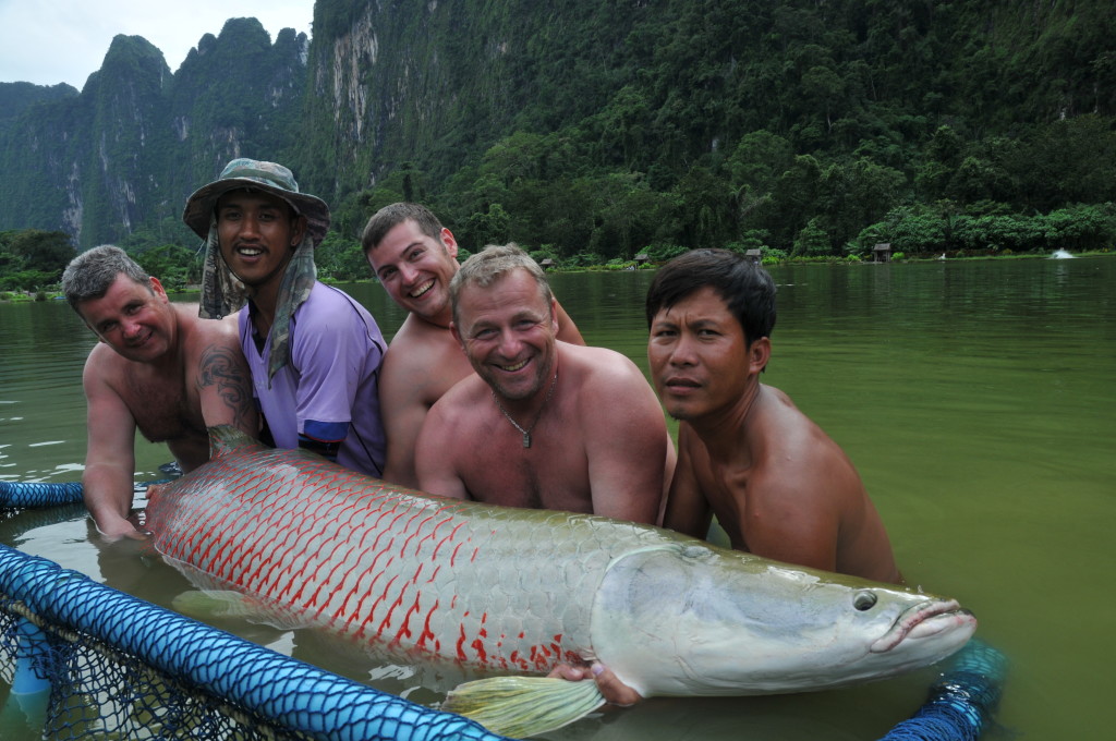 Angeln in Thailand: Gleich mehrere Leute waren nötig, um Ralf bei der Landung des Arapaima zu assistieren. Foto: R. Langer