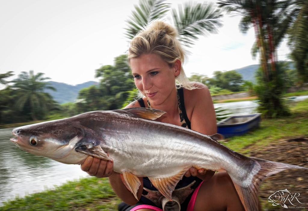 STRIPED_CATFISH