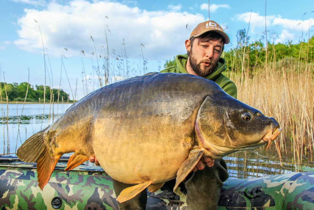 Dieser massive Spiegelkarpfen ging Julian mit den Crawfish-Boilies an den Haken.