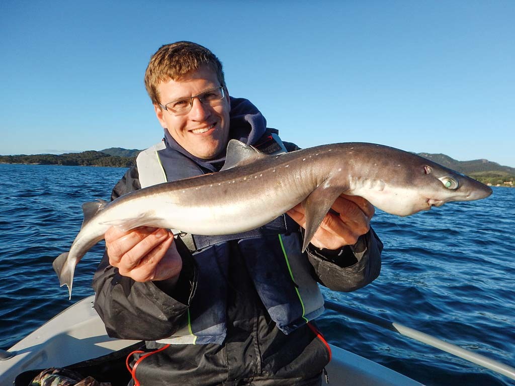 Mit „nervigen“ Dornhaien muss man beim Naturköderangeln immer rechnen. Foto: G. Bradler