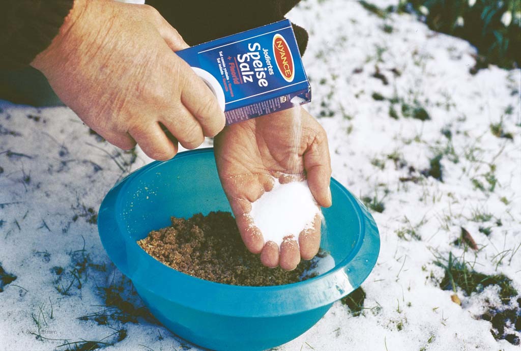 Das sprichwörtliche Salz in der Suppe, Entschuldigung Futter, kann beim Angeln im Winter oft den entscheidenden Vorteil bringen. Foto: Blinker