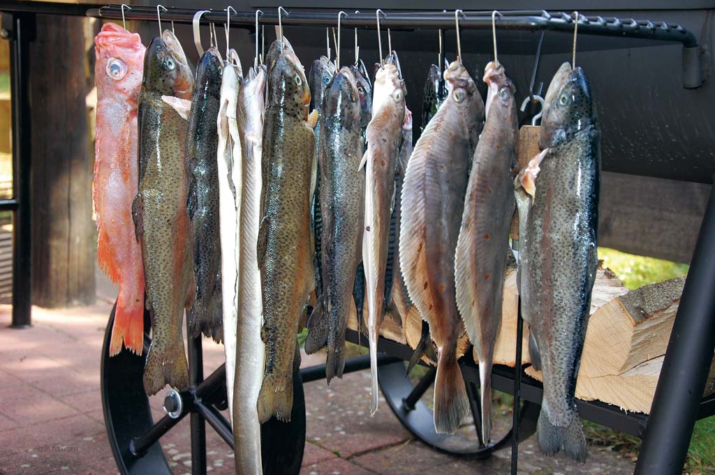 Die Fische sollte vor dem Räuchern getrocknet werden. Foto: Blinker