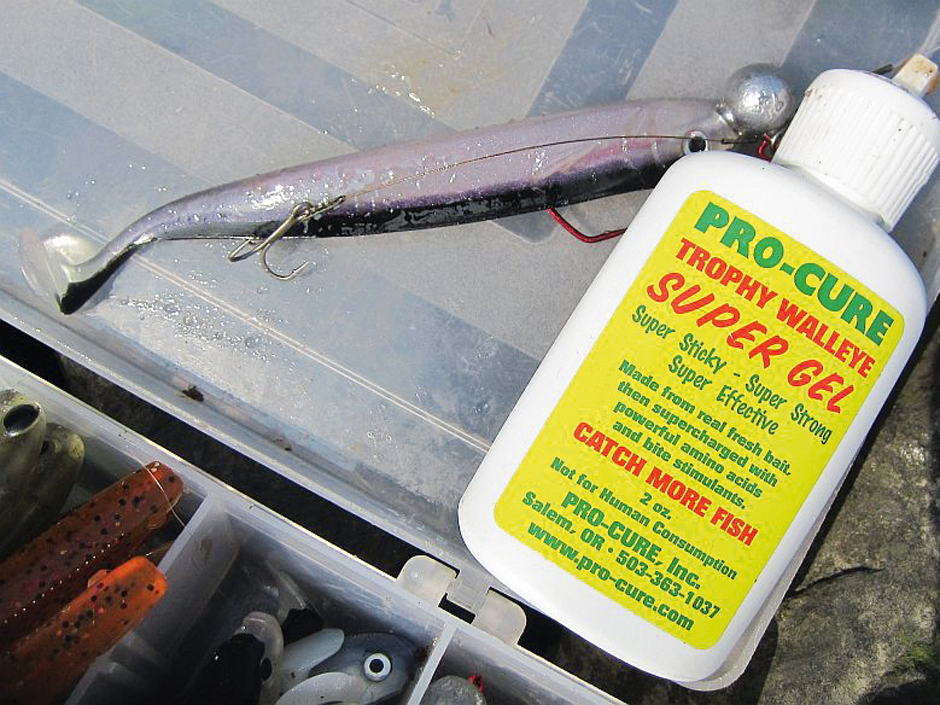 Raubfische, wie Zander stehen auf Lockstoffe. Sie nehmen den Geschmack dieser Stoffe auch über große Distanzen war! Foto: BLINKER/V. Wilde