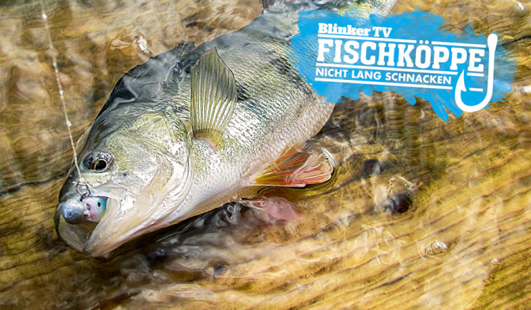 Barschangeln im Vereinssee mit den Fischköppen.