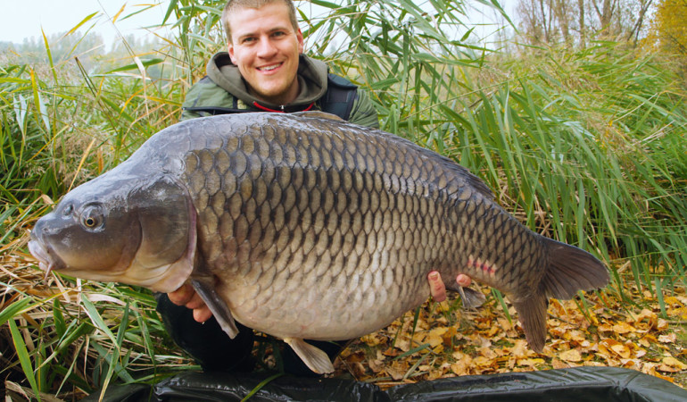 karpfenangeln mit teig und boilies ist eine sehr erfolgreidhe methode für große Karpfen, so wie dieser Spiegelkarpfen von Chefredakteur Gregor Bradler zeigt.