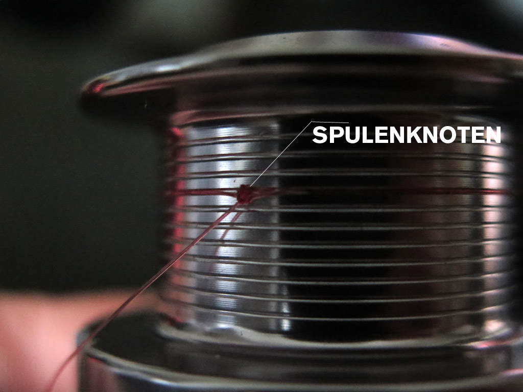 Spulenknoten: Mit dem Arbor-Knoten klappt's sicher! - BLINKER