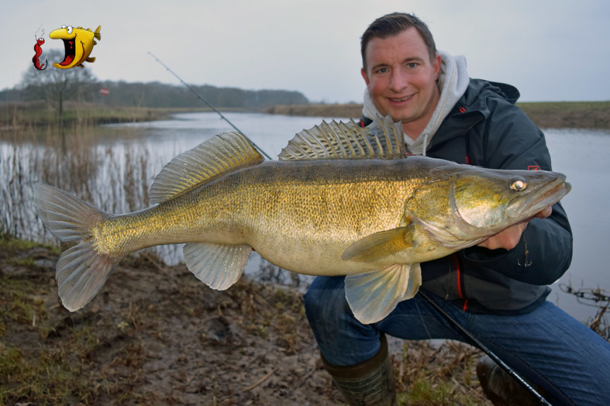 Veit Wilde ist vor allem für den Fang seiner vielen Großzander bekannt. Ab sofort verstärkt er nun die Firma Fishing Tackle Max. Foto: V. Wilde